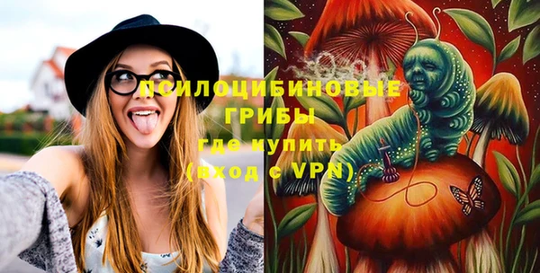 mdpv Белокуриха