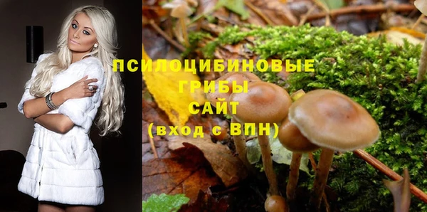 mdpv Белокуриха