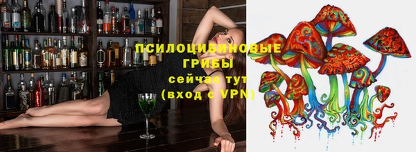 mdpv Белокуриха